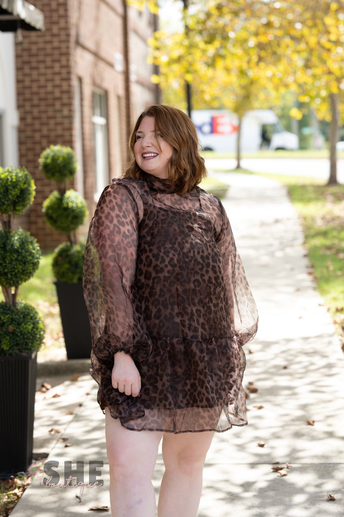 Catelina Cheetah Sheer Dress - She Chester