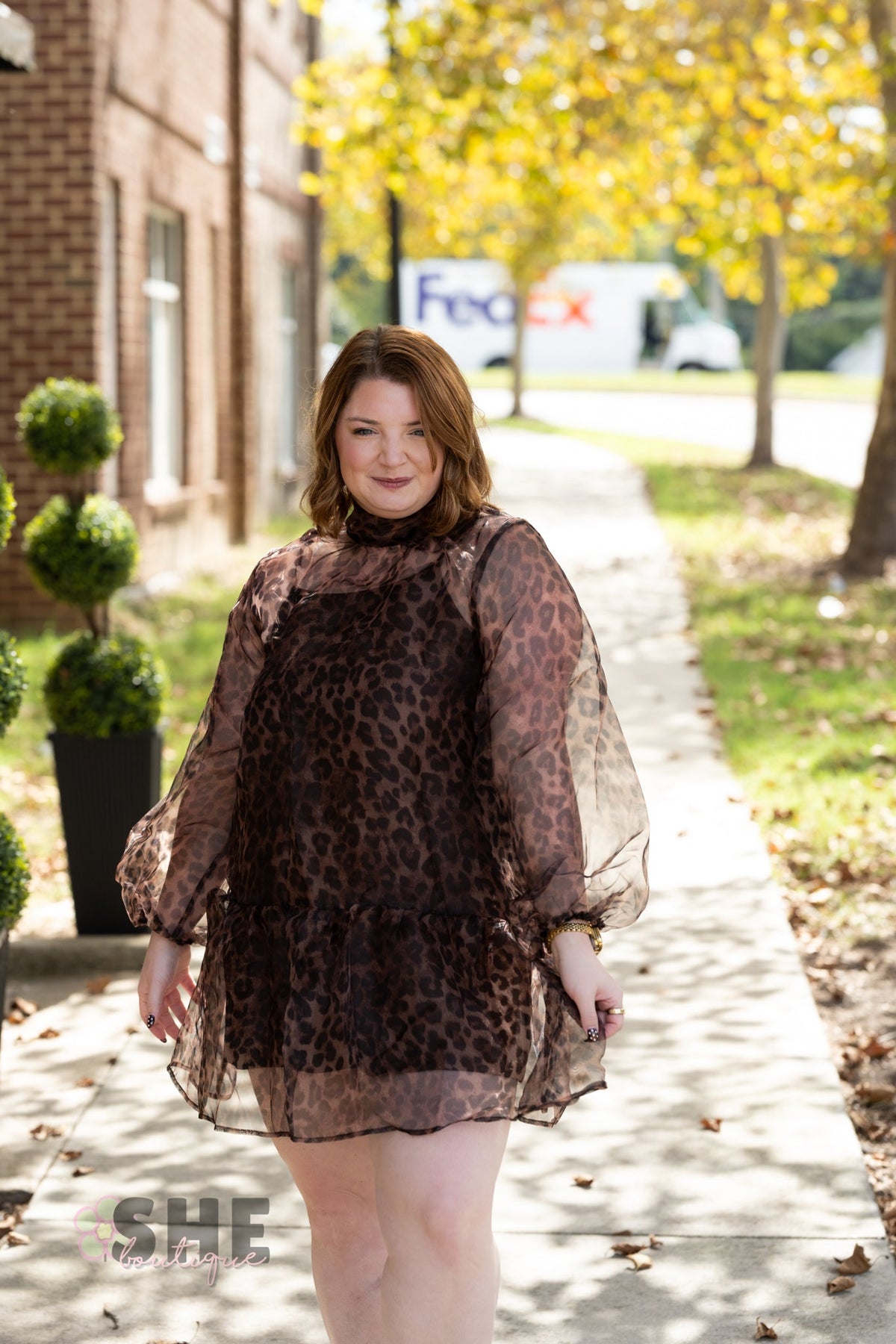 Catelina Cheetah Sheer Dress - She Chester