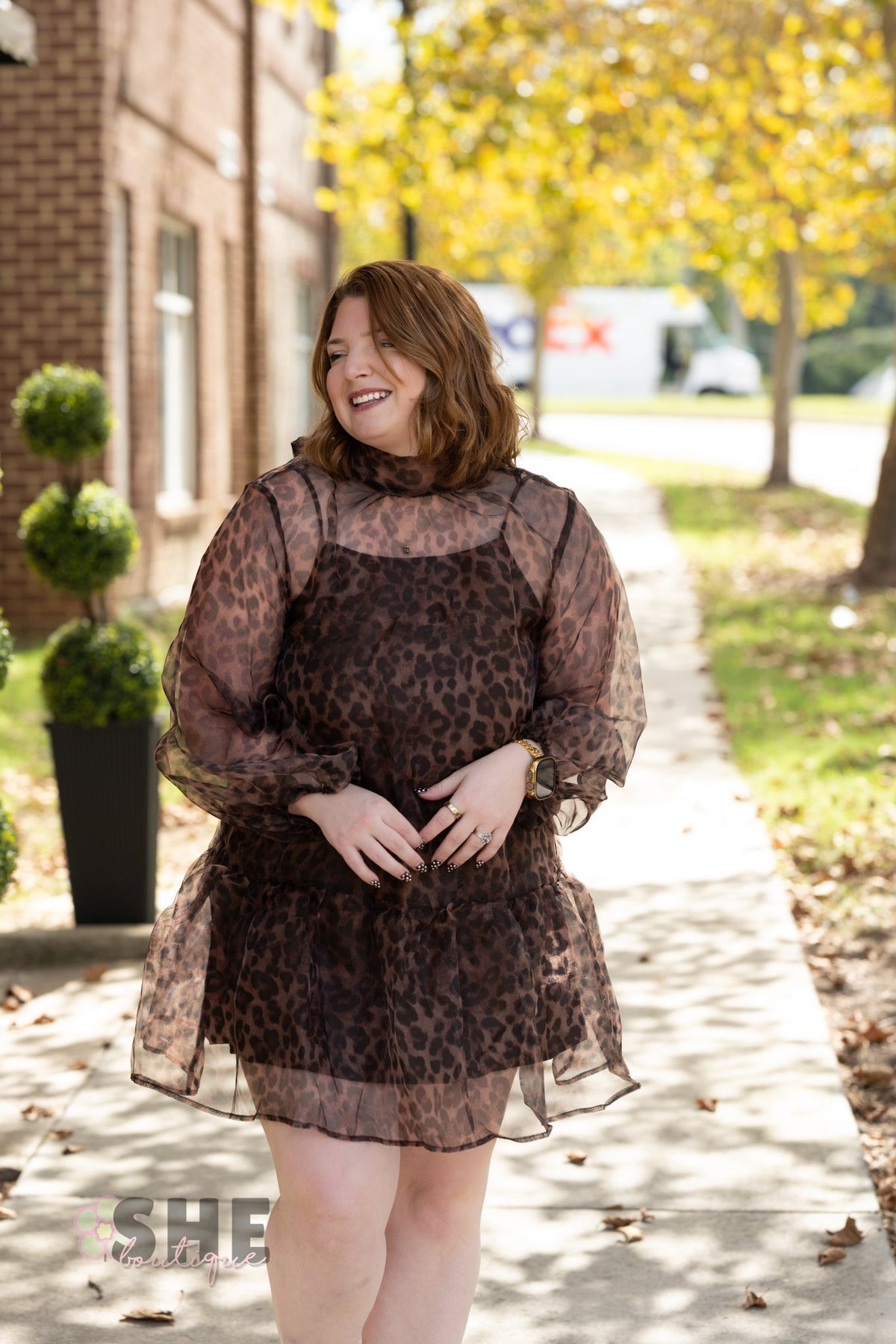 Catelina Cheetah Sheer Dress - She Chester