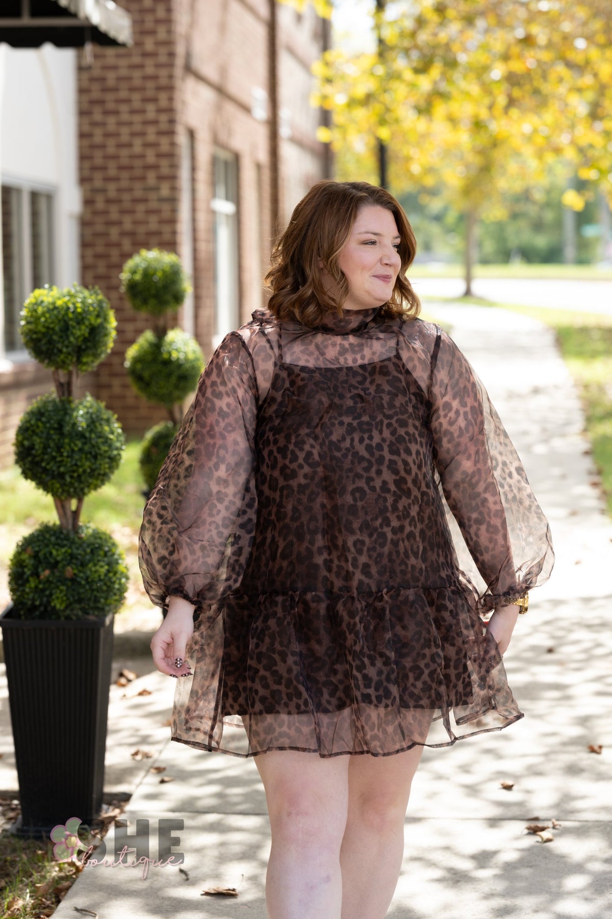 Catelina Cheetah Sheer Dress - She Chester