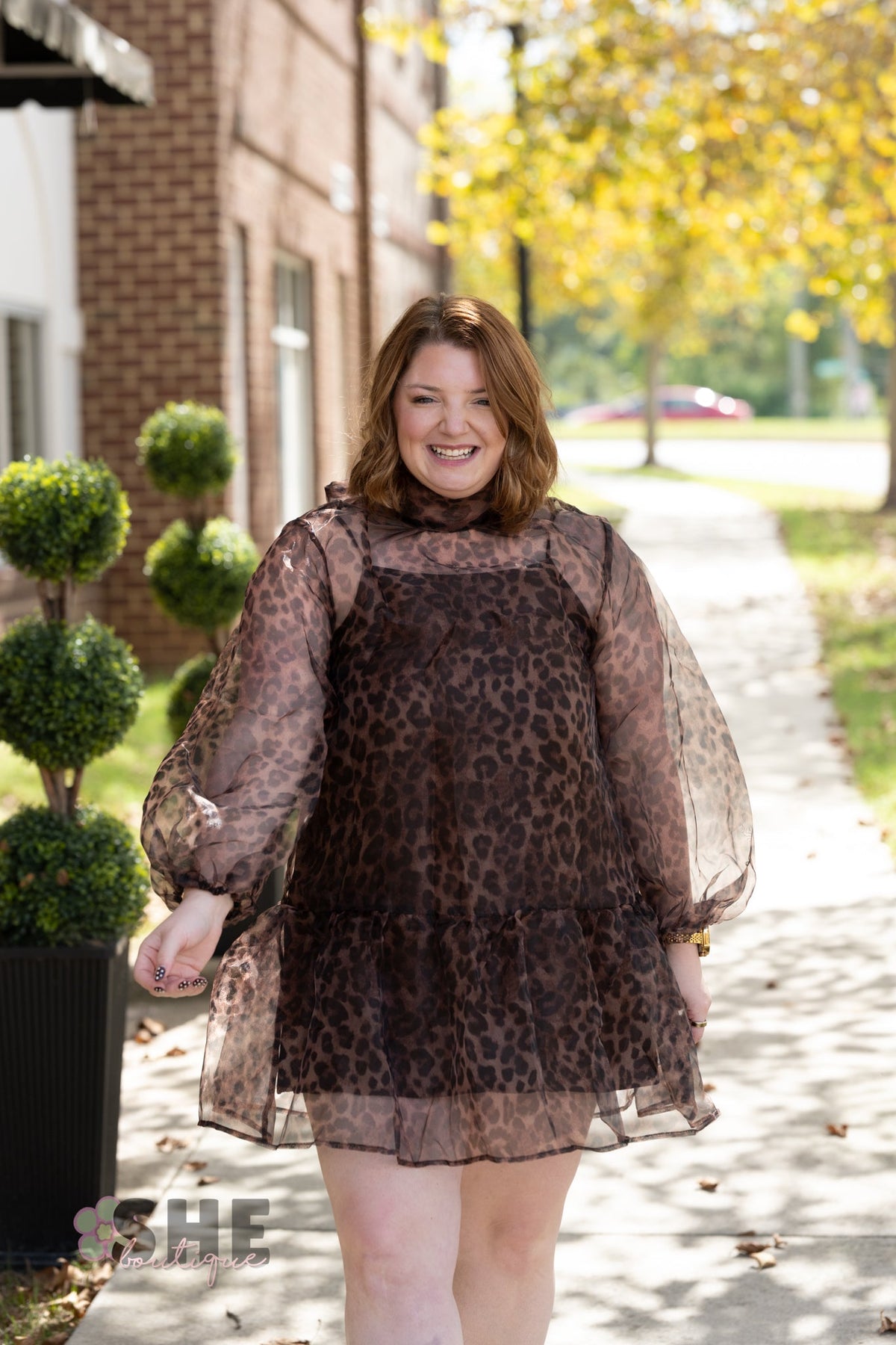 Catelina Cheetah Sheer Dress - She Chester