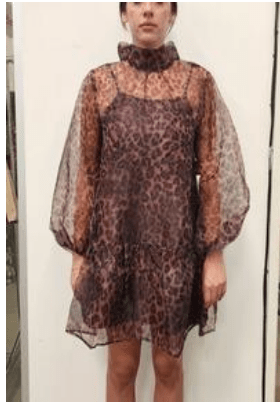 Catelina Cheetah Sheer Dress - She Chester