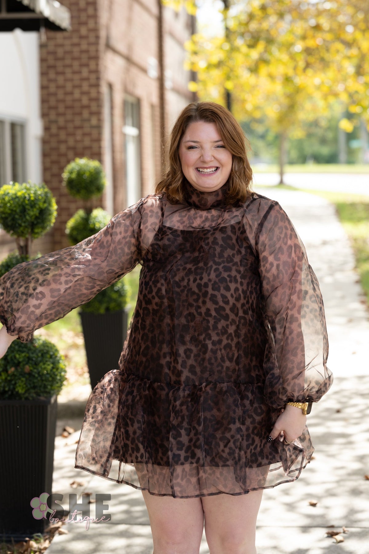 Catelina Cheetah Sheer Dress - She Chester
