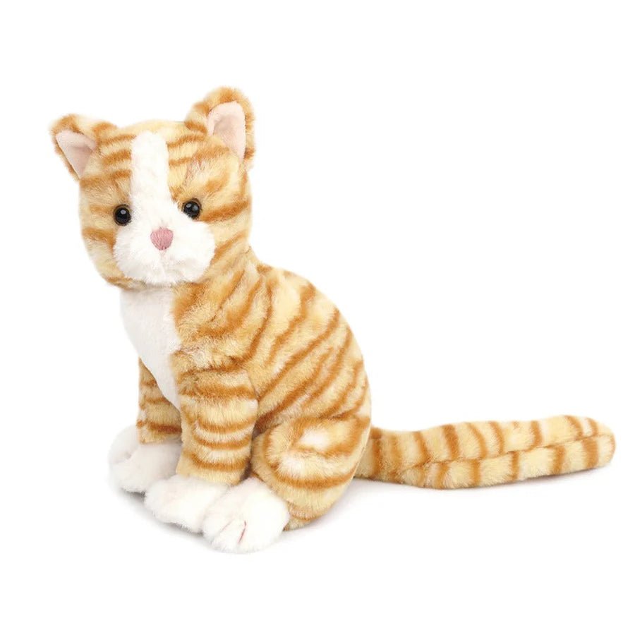 Chichi Kitty Small - She Chester