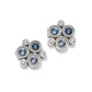 Constella Cluster Blue Post Earrings JA0081 - She Chester