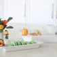 Cracker Tray - Stripes - She Chester