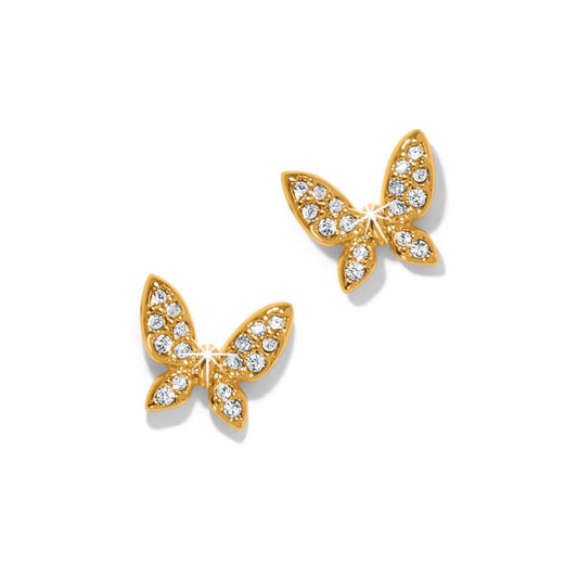 Enchanting Butterfly Gold Post - JA0026 - She Chester