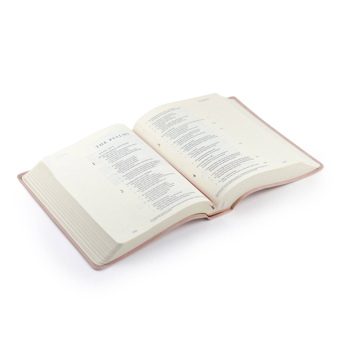 ESV Journaling Bible : Shiloh Theme - She Chester