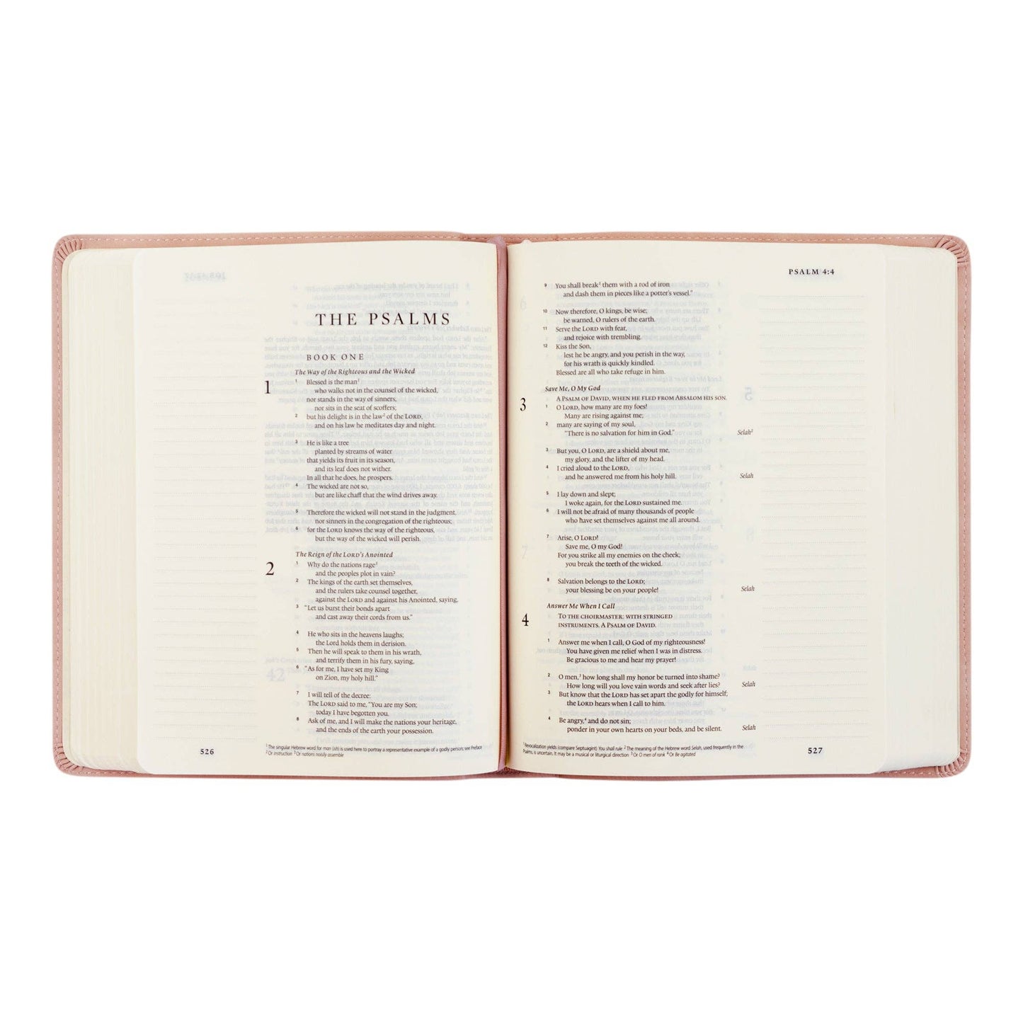 ESV Journaling Bible : Shiloh Theme - She Chester