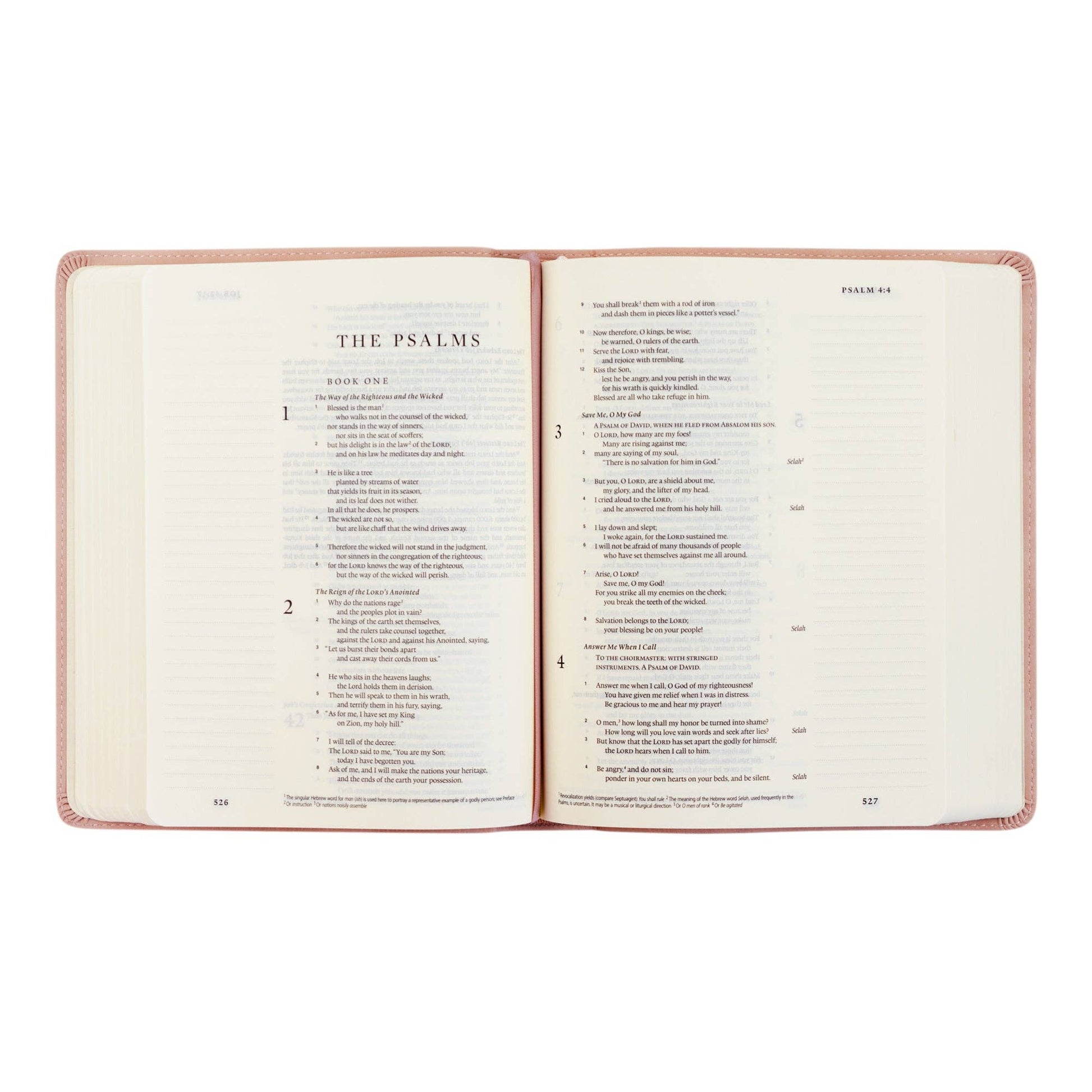 ESV Journaling Bible : Shiloh Theme - She Chester