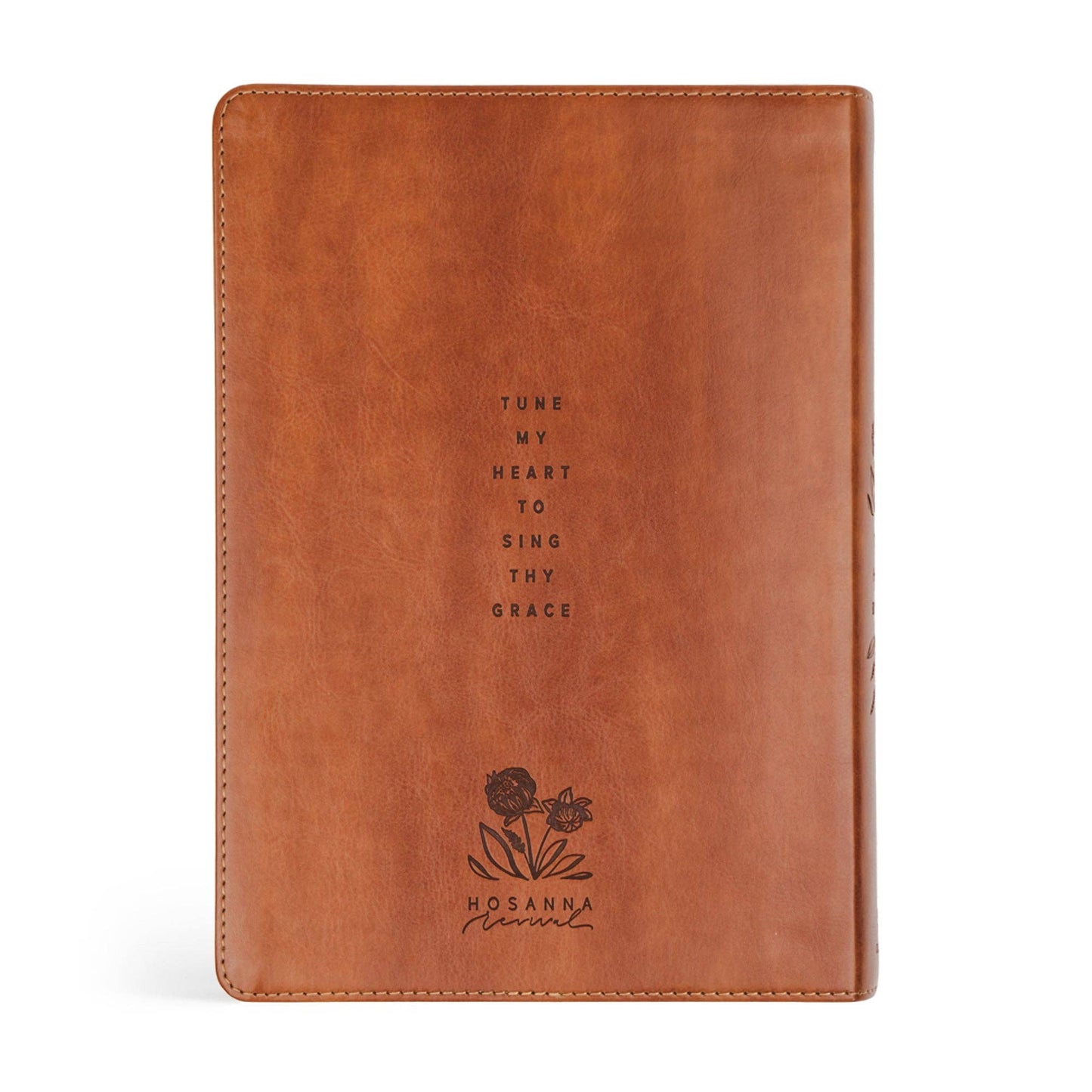ESV Large Print Journaling Bible : Sierra Theme - She Chester