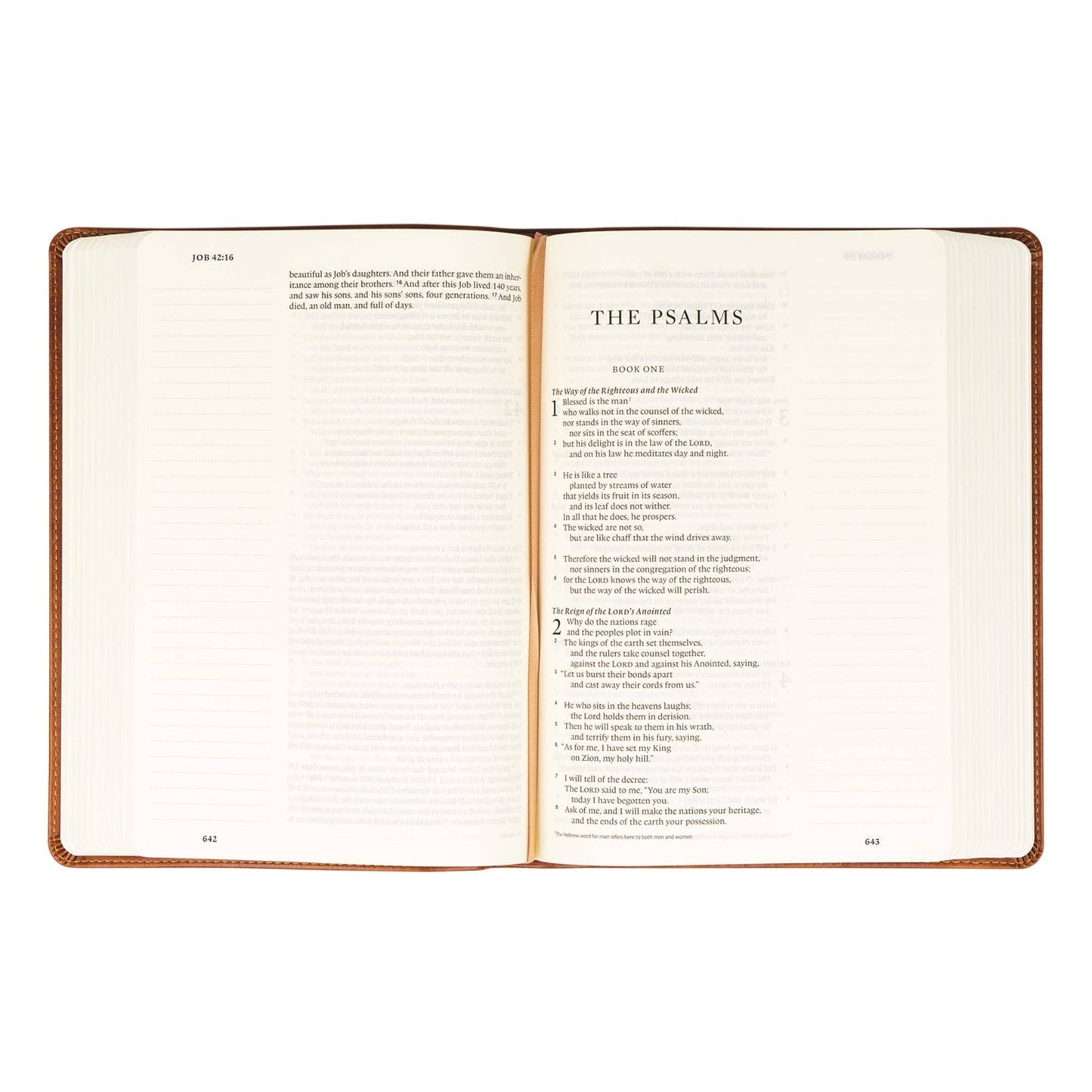 ESV Large Print Journaling Bible : Sierra Theme - She Chester