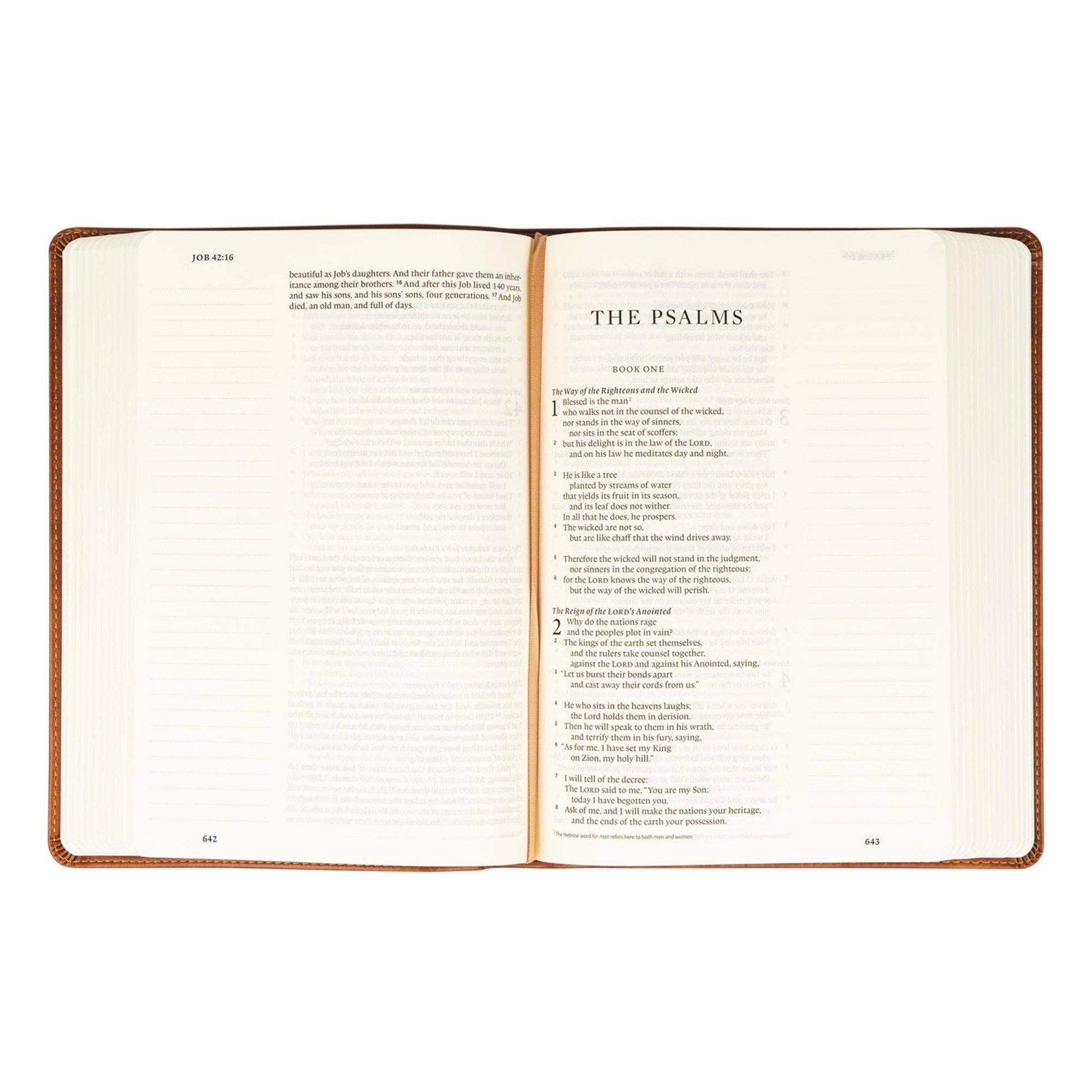 ESV Large Print Journaling Bible : Sierra Theme - She Chester