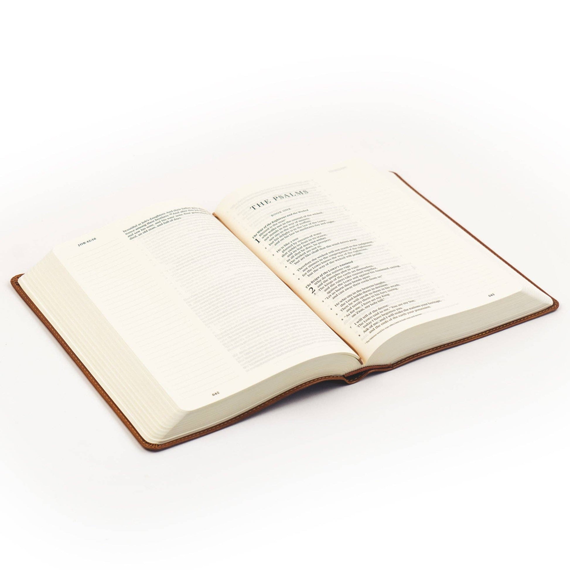 ESV Large Print Journaling Bible : Sierra Theme - She Chester