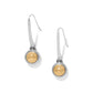 Ferrara Segreta Earring JA0190 - She Chester