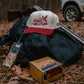 Fly By Snapback - She Chester