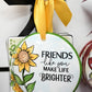 Friends Like You Brighter - She Chester