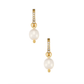 Georgie Huggie Hoop Gold Pearl Earrings - She Chester