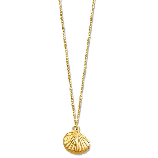 Georgina Shell Pendant Necklace - She Chester
