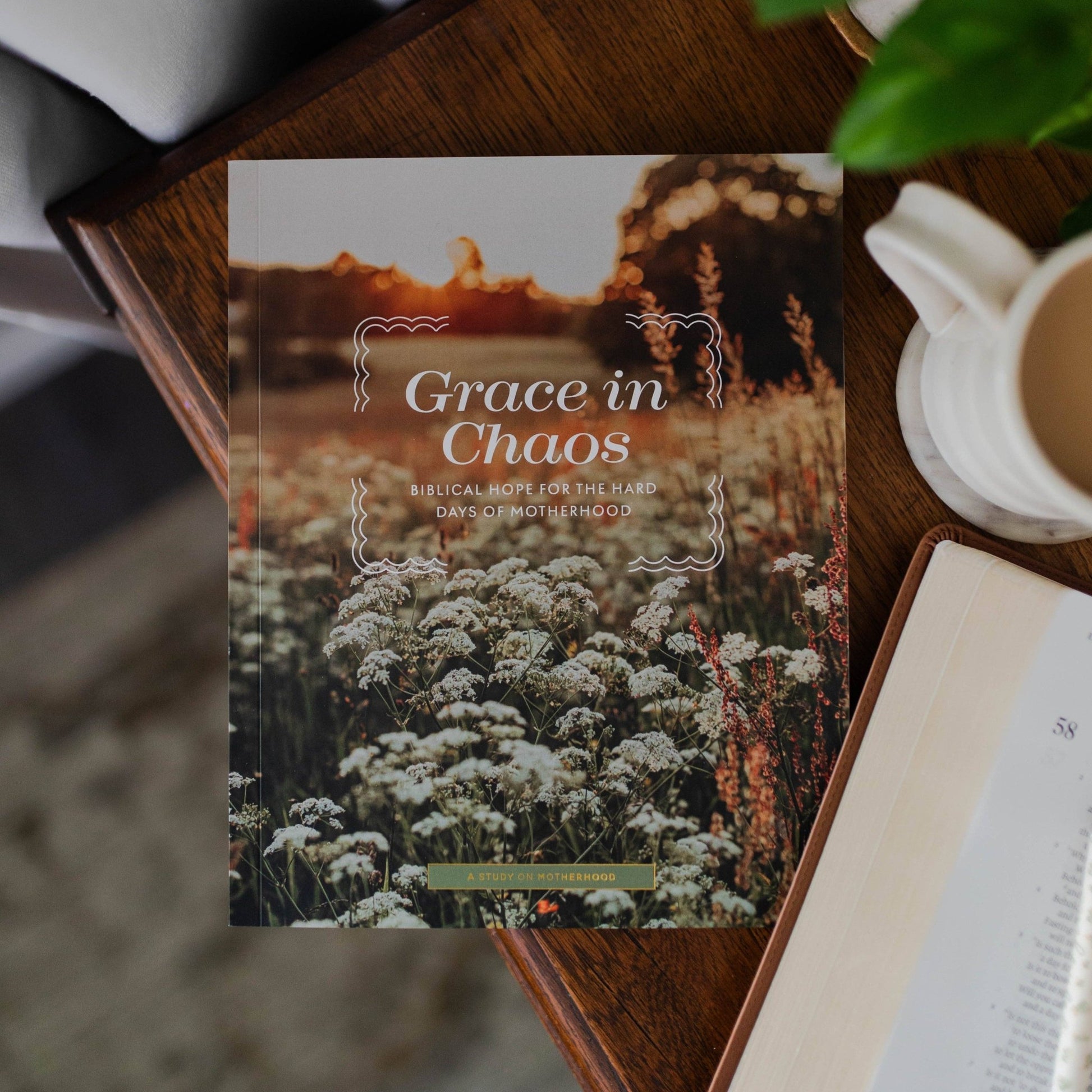 Grace in Chaos | Biblical Hope for the Hard Days of Motherhood - She Chester