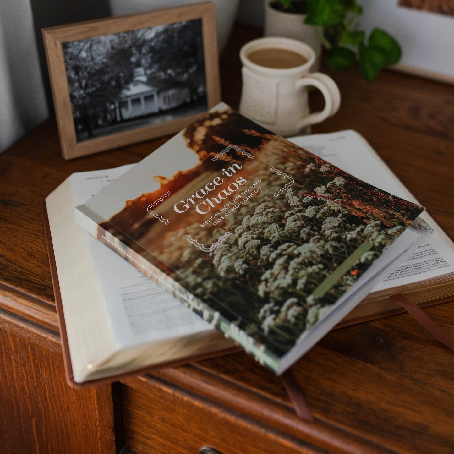 Grace in Chaos | Biblical Hope for the Hard Days of Motherhood - She Chester