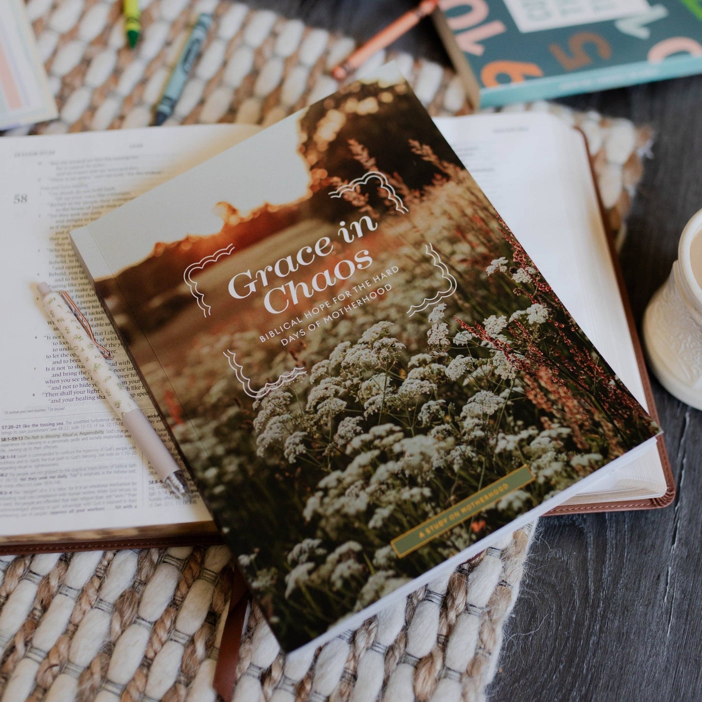 Grace in Chaos | Biblical Hope for the Hard Days of Motherhood - She Chester