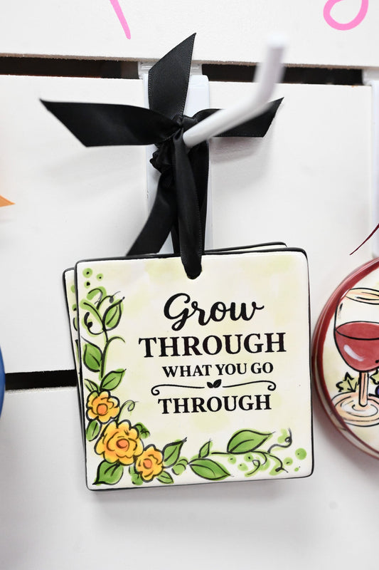 Grow Through What You Go - She Chester