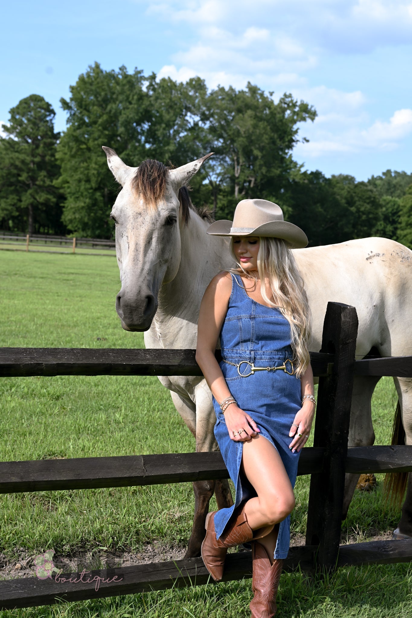 Huckleberry Denim Midi Dress - She Chester