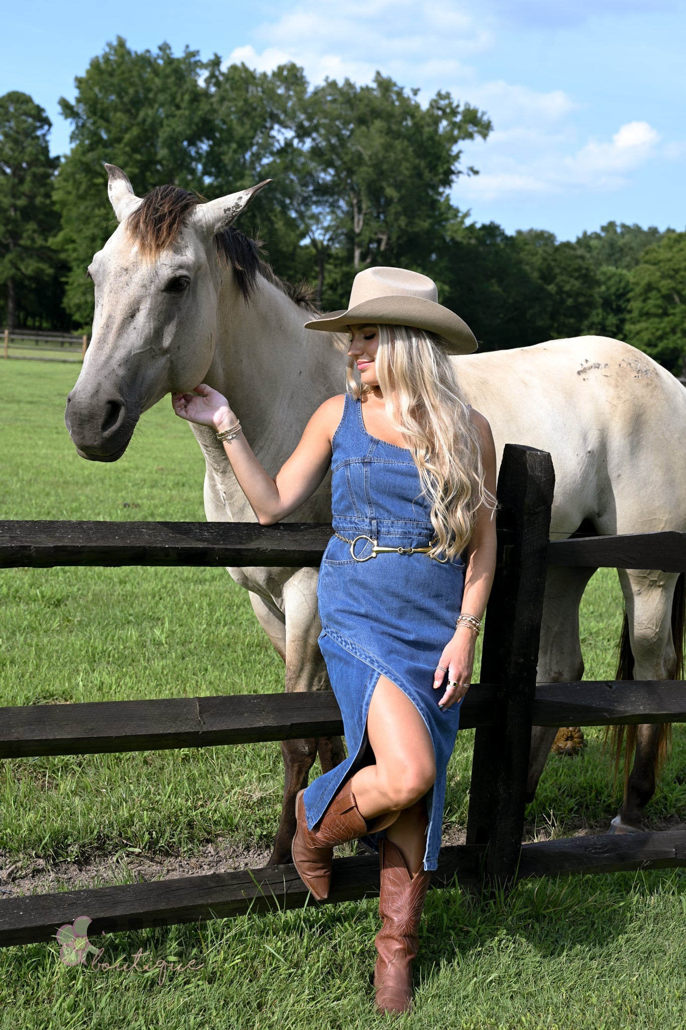 Huckleberry Denim Midi Dress - She Chester