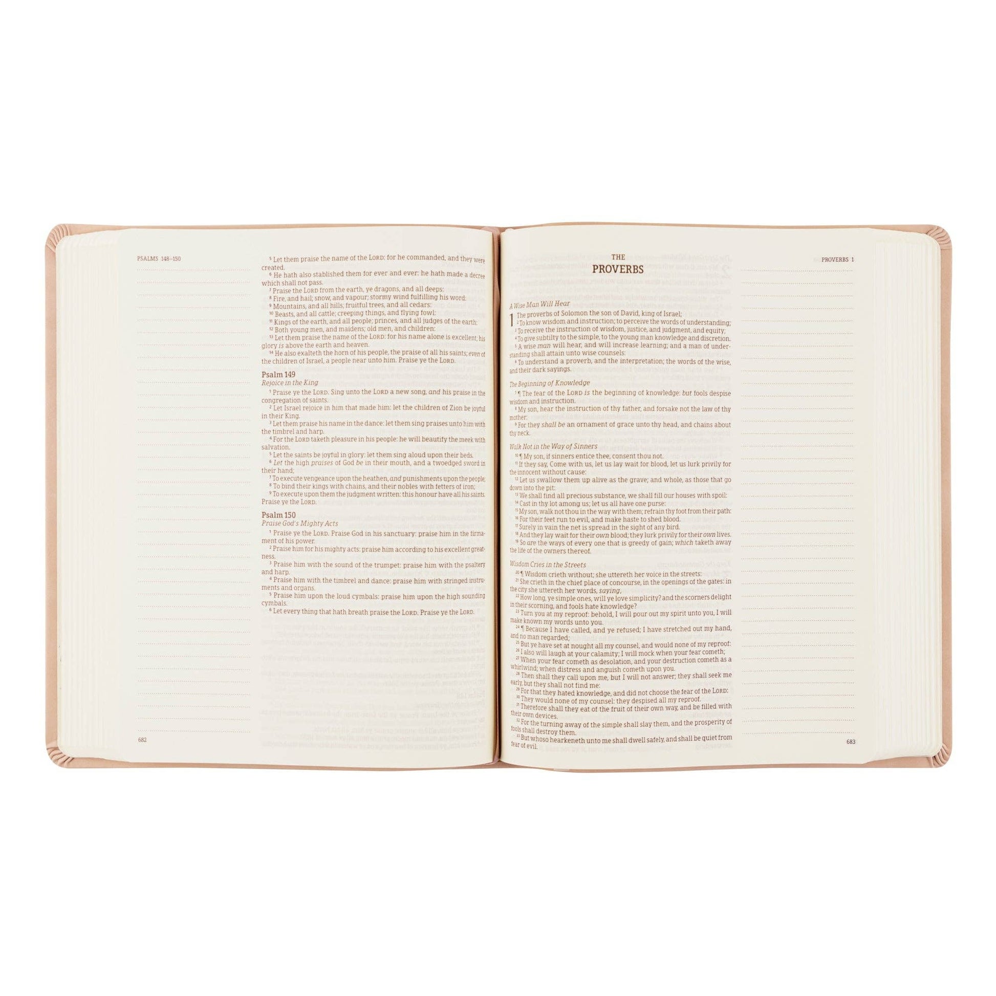 KJV Large Print Notetaking Bible: Shiloh Theme - She Chester