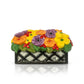 Love Blooms Here Mini - Flower Box - She Chester