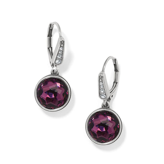 Meridian Amythest Drop Earring - JA0054