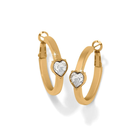 Mystery Of Love Gold Crystal Hoop JA0210 - She Chester
