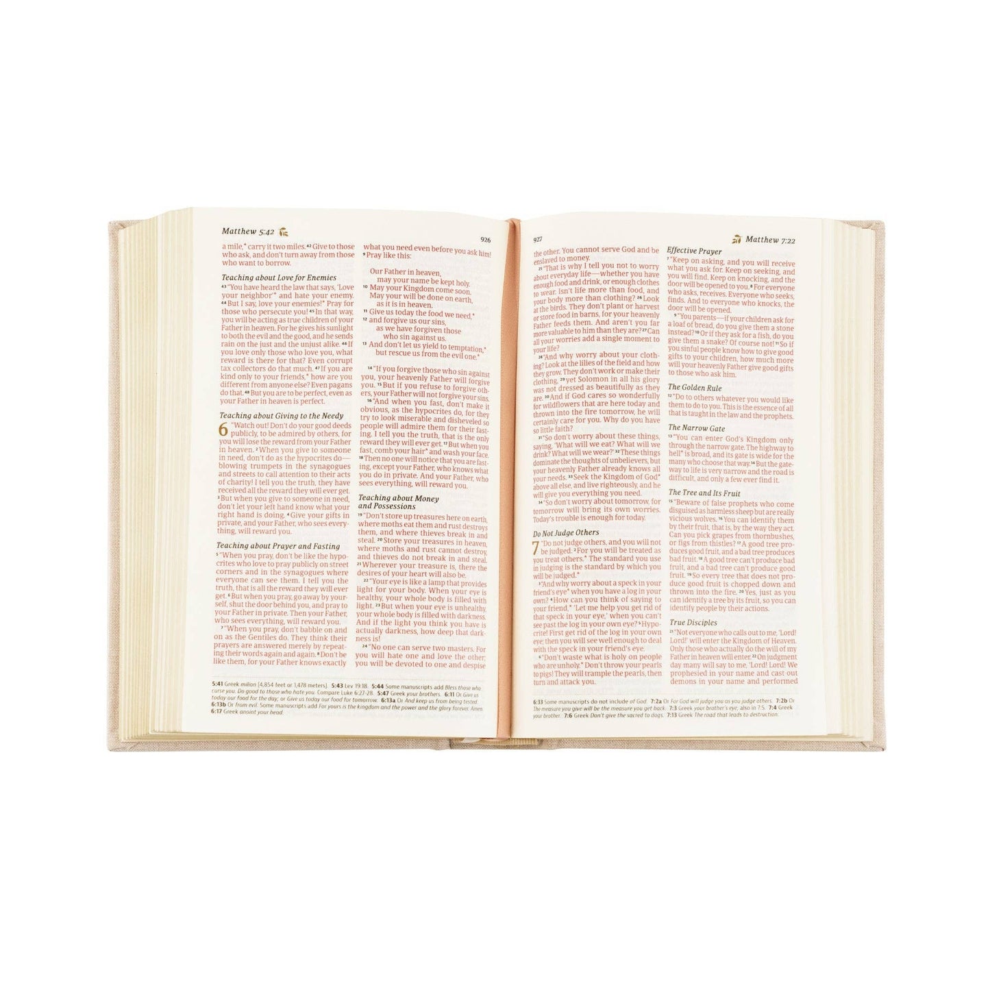 NLT Compact Bible: Casablanca Theme - She Chester