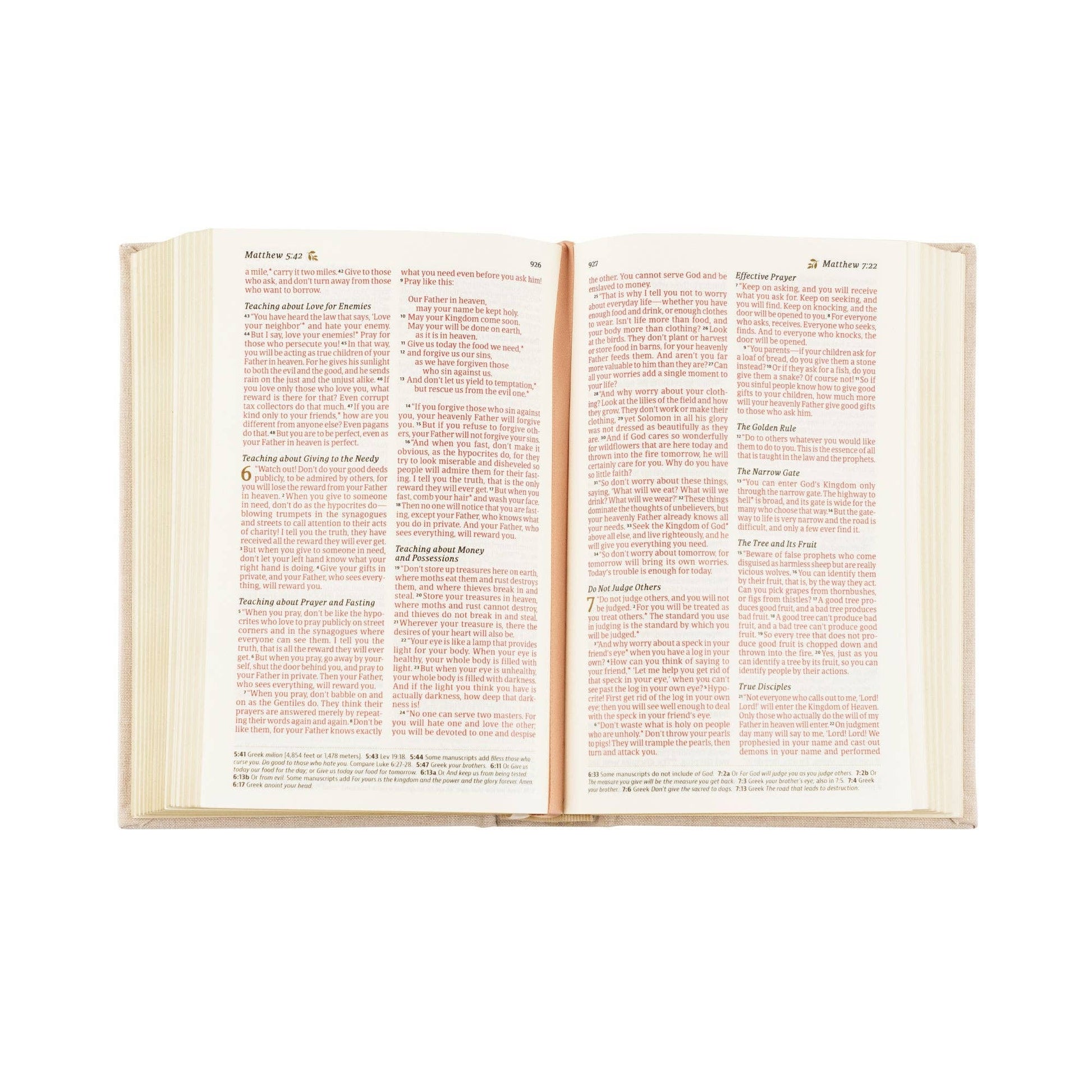 NLT Compact Bible: Casablanca Theme - She Chester