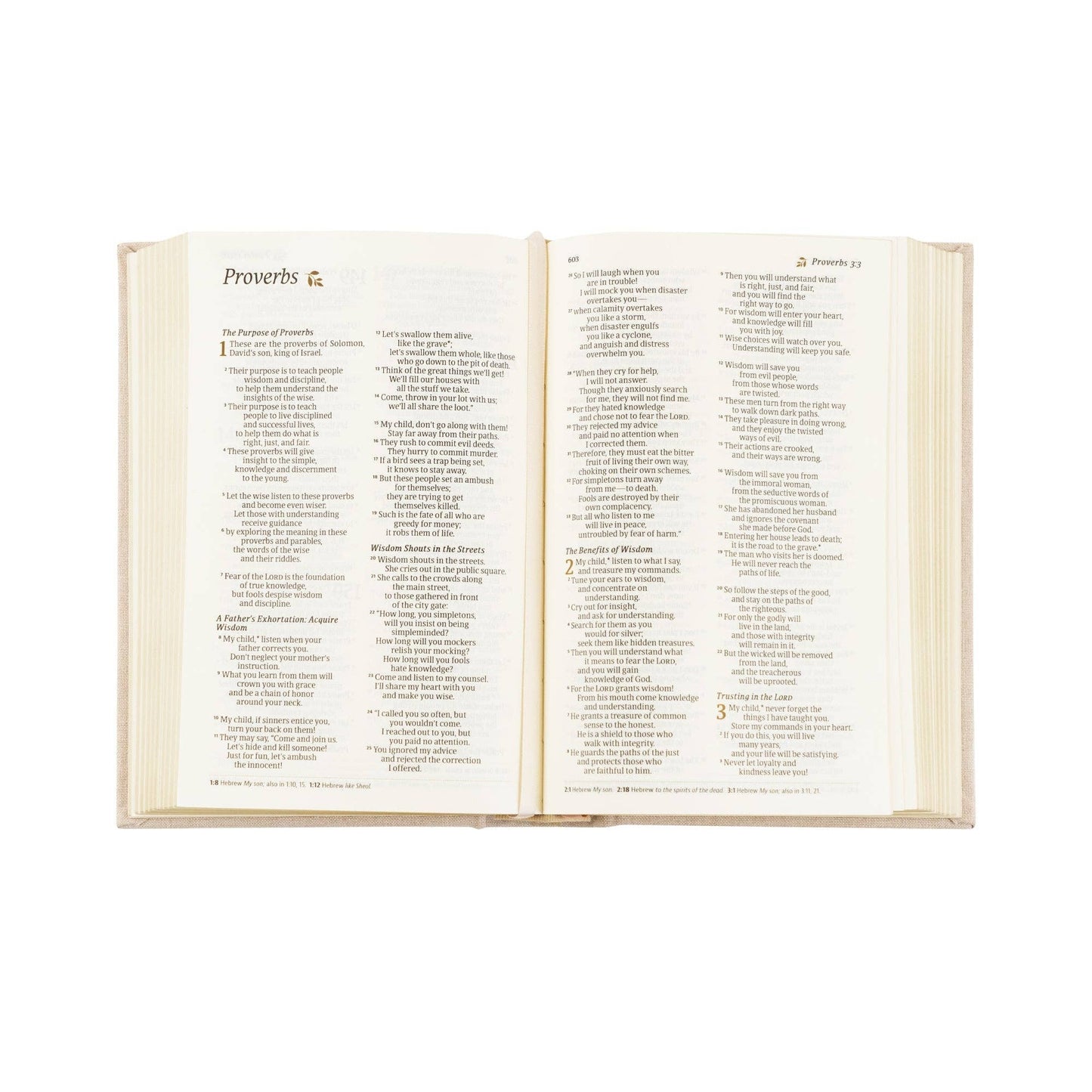 NLT Compact Bible: Casablanca Theme - She Chester