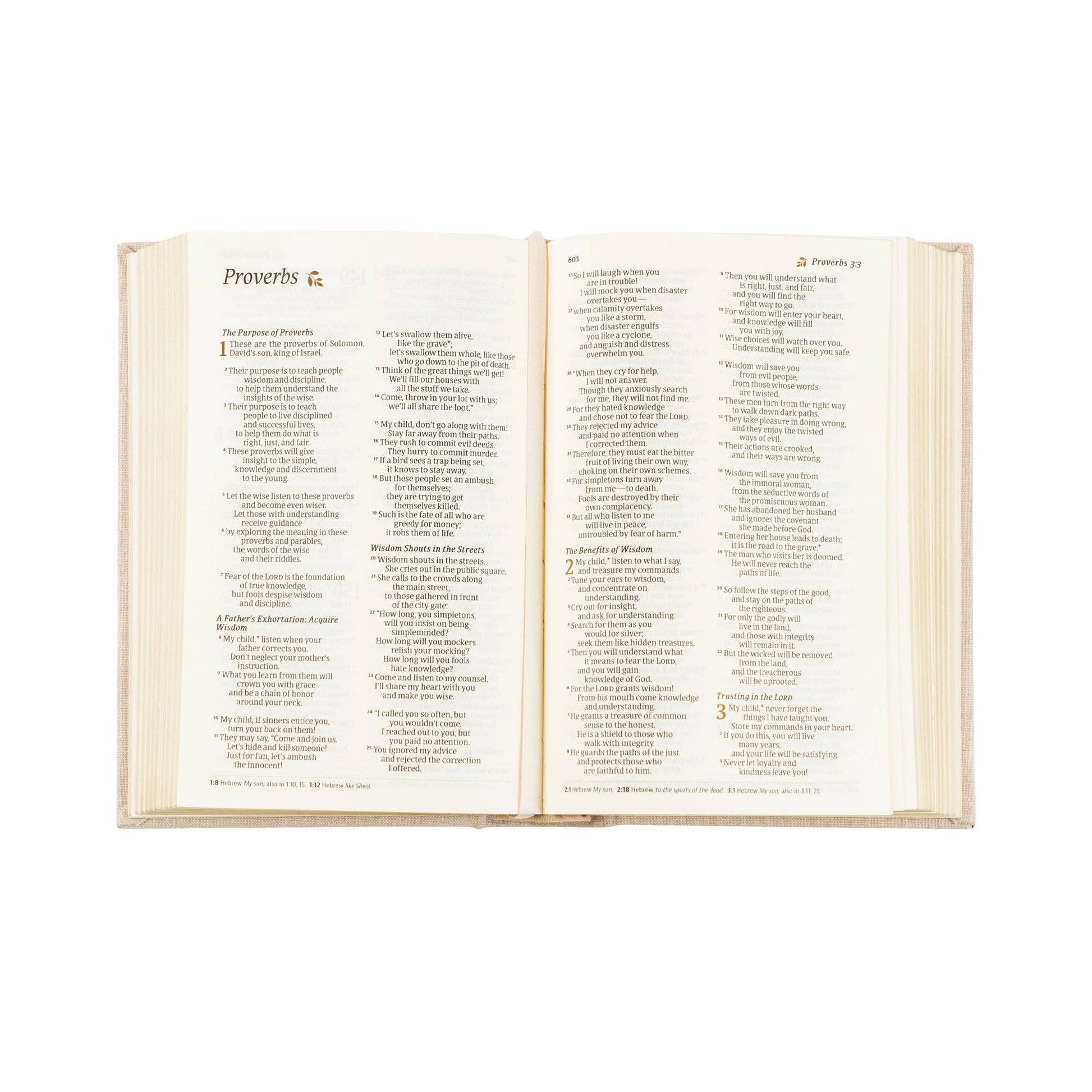 NLT Compact Bible: Casablanca Theme - She Chester