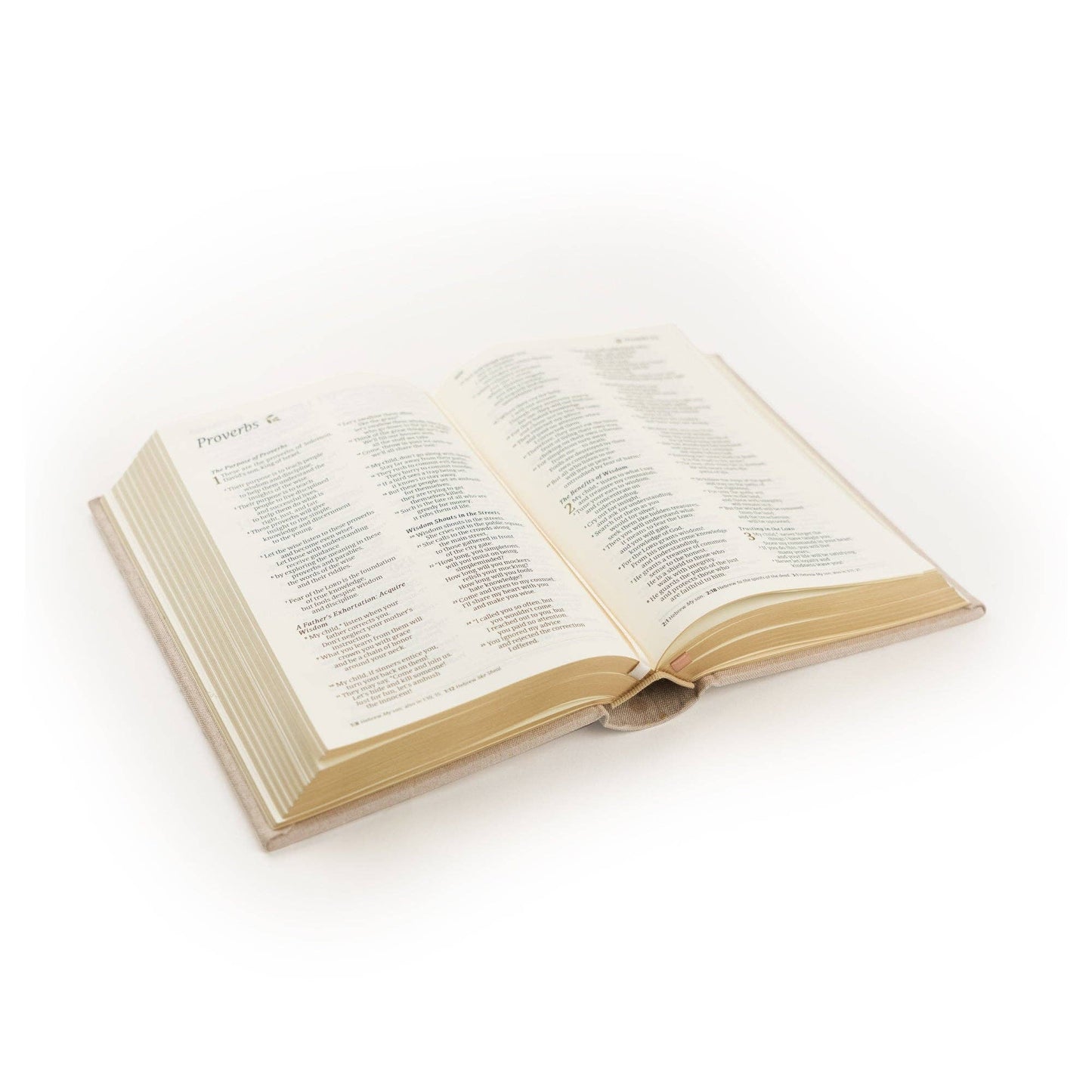 NLT Compact Bible: Casablanca Theme - She Chester