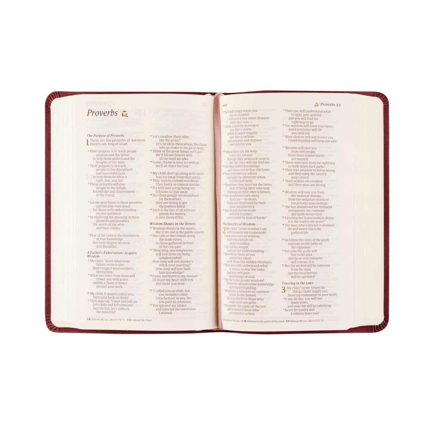 NLT Compact Bible: Helena Theme - She Chester