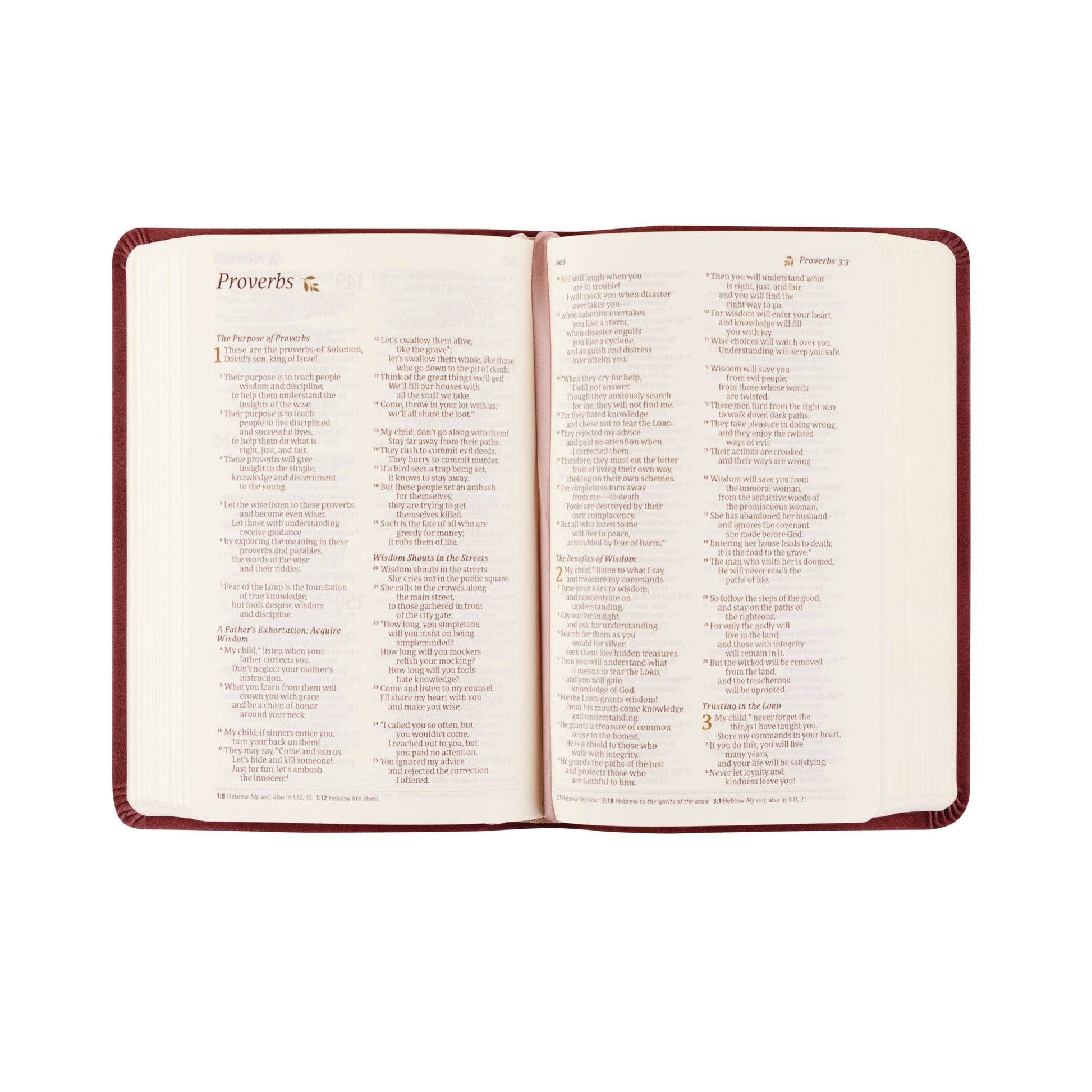 NLT Compact Bible: Helena Theme - She Chester