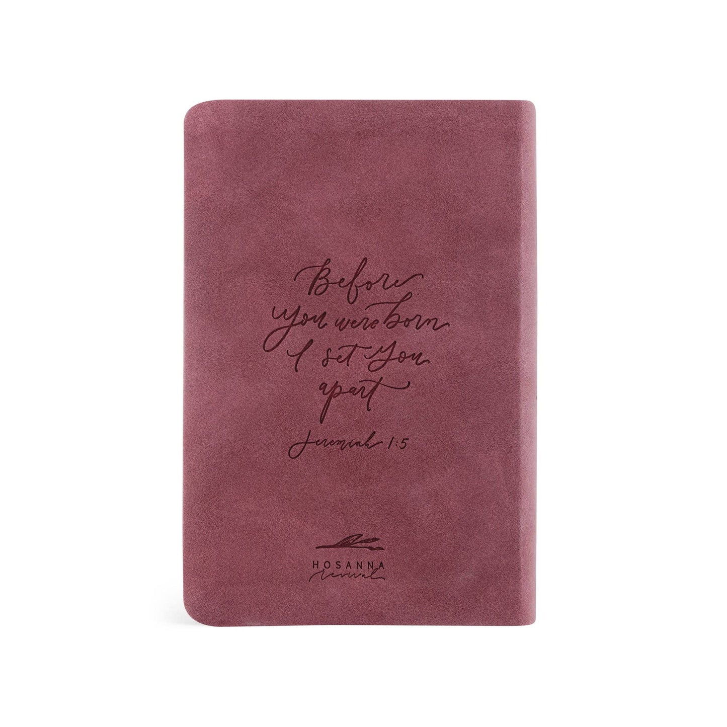 NLT Compact Bible: Helena Theme - She Chester