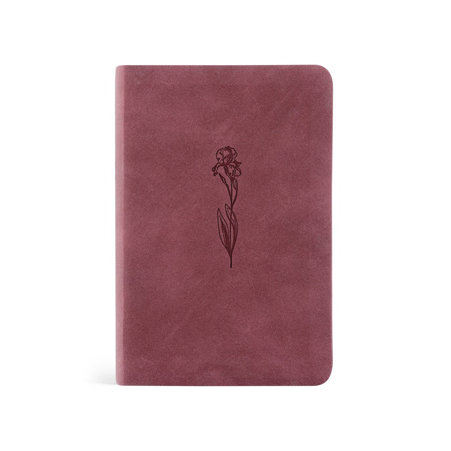 NLT Compact Bible: Helena Theme - She Chester