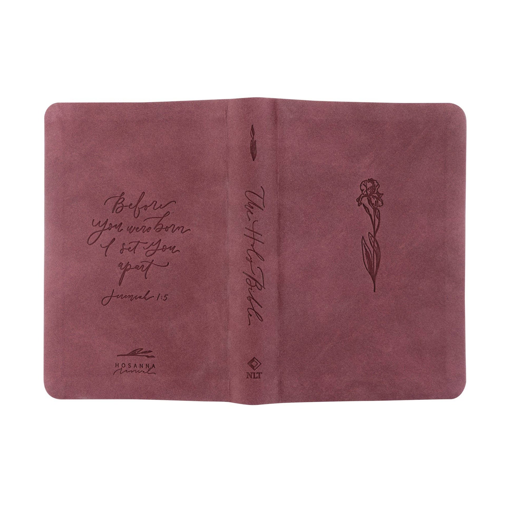NLT Compact Bible: Helena Theme - She Chester