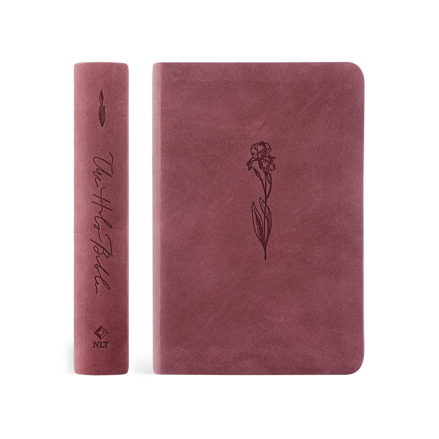 NLT Compact Bible: Helena Theme - She Chester