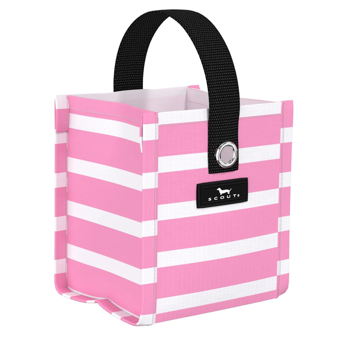 Palmetto Pink Mini Package Gift Bag - She Chester