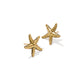 PARKER STARFISH METAL STUD EARRINGS VINTAGE GOLD - She Chester