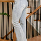 Rhinestone Flare Jeans - She Chester