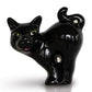 Scaredy Cat Mini - She Chester
