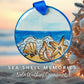 SEA SHELLS ON BEACH - She Chester