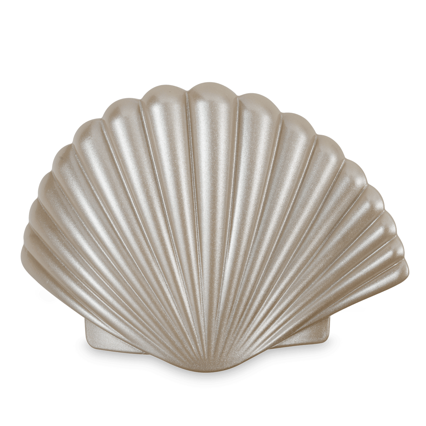 Shimmering Shell | Large | Flat Hair Clip - She Chester